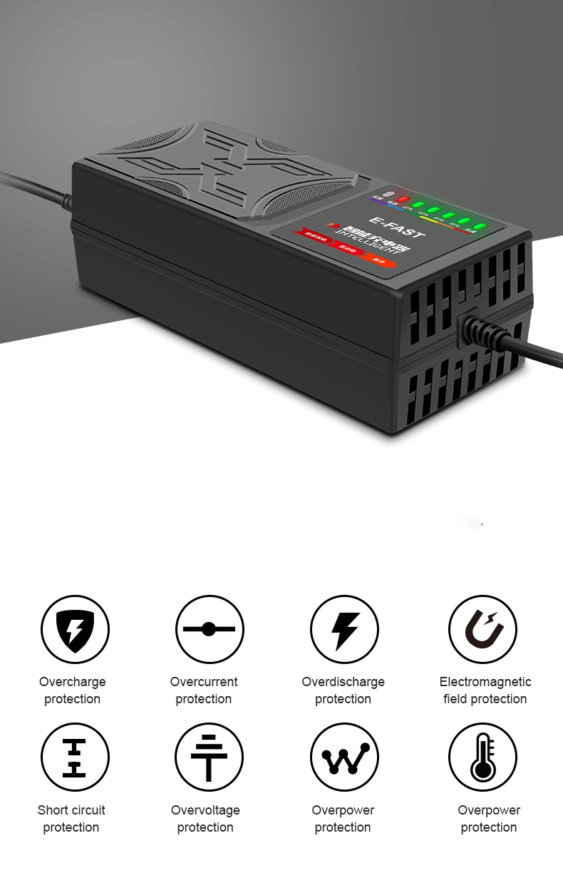 OEM E-Fast 48V38ah Ebike Tricycle Pulse Repair AGM Efb Lead-Acid Battery Charger